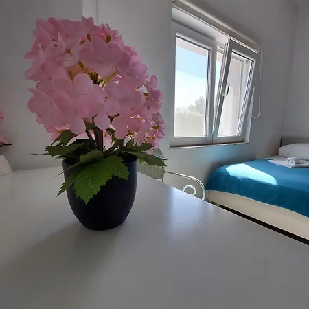 House Lena Sibenik Apartment